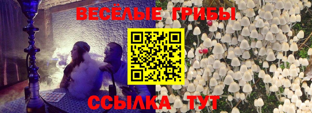 Псилоцибиновые грибы GOLDEN TEACHER Тайшет